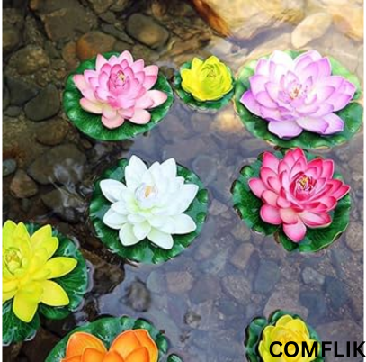 Comflik Japanese Bonsai Lotus Seeds